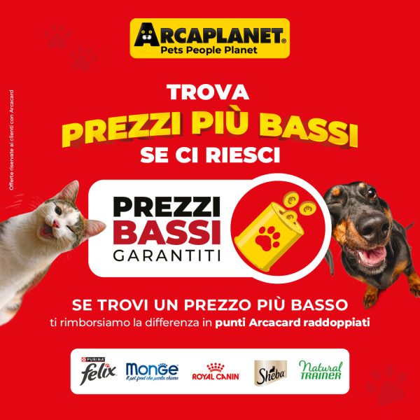 Arca PrezziBassi OTT PROMO 1080 X 1080